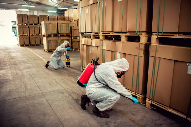 Best Best Pest Control Companies  in Mustang, OK