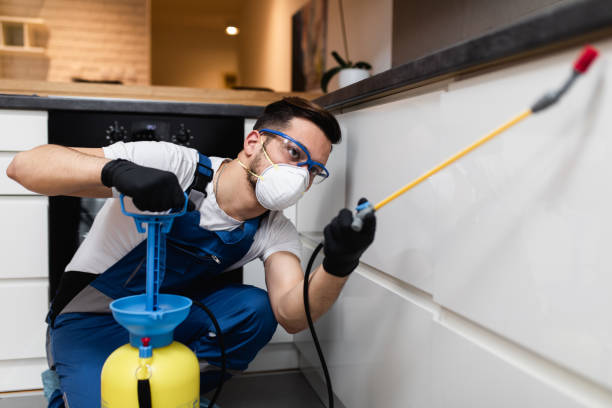 Best Cockroach Control Services  in Mustang, OK
