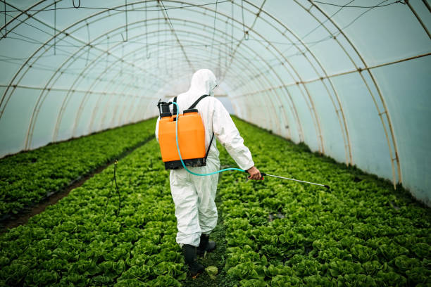 Pest Prevention Services in Mustang, OK