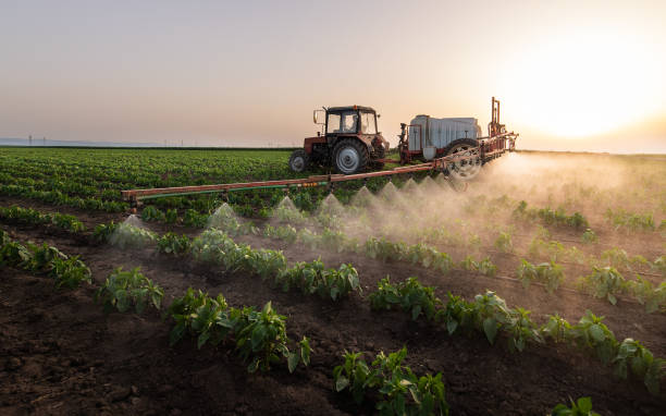 Best Pest Removal Services  in Mustang, OK