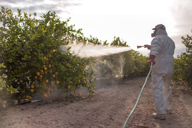 Best Affordable Pest Control Services  in Mustang, OK