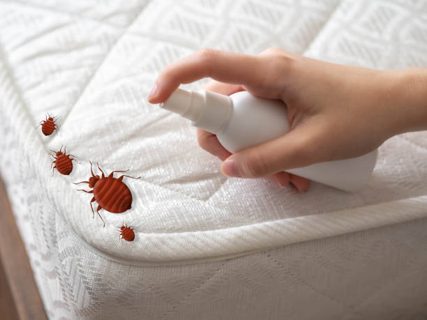 Reliable Mustang, OK Pest Control Solutions
