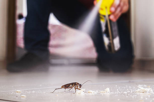  Mustang, OK Pest Control Pros