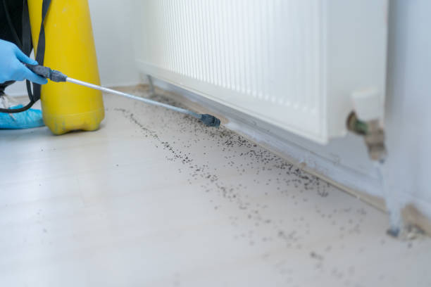 Best Pest Control Near Me in Mustang, OK
